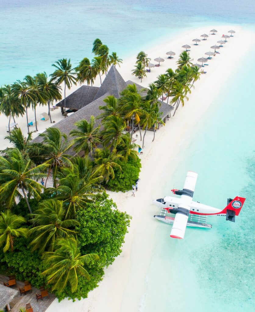 Maldives - plane parked beside the trees on seashore